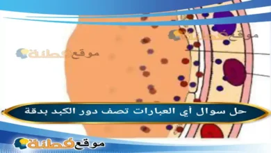 أي العبارات تصف دور الكبد بدقة