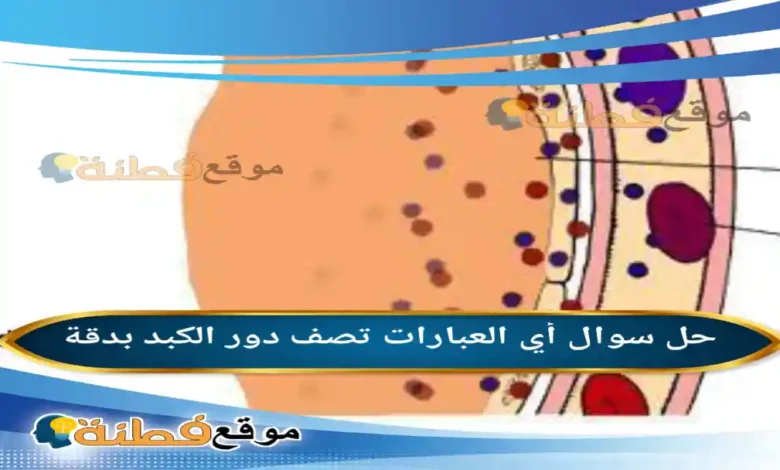أي العبارات تصف دور الكبد بدقة