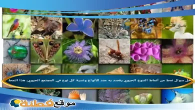 نمط من أنماط التنوع الحيوي يقصد به عدد الأنواع ونسبة كل نوع في المجتمع الحيويِ، هذا النمط