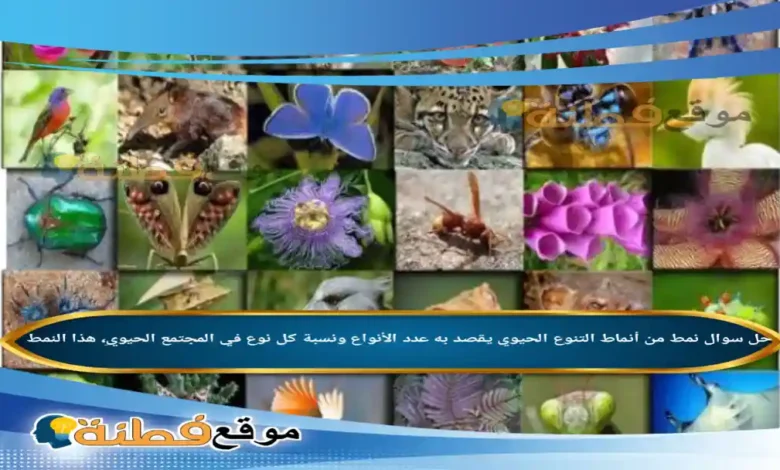 نمط من أنماط التنوع الحيوي يقصد به عدد الأنواع ونسبة كل نوع في المجتمع الحيويِ، هذا النمط