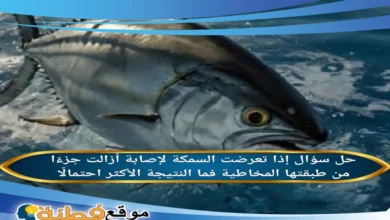 إذا تعرضت السمكة لإصابة أزالت جزءًا من طبقتها المخاطية فما النتيجة الأكثر احتمالًا