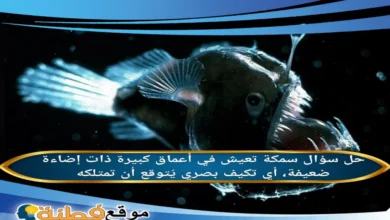 سمكة تعيش في أعماق كبيرة ذات إضاءة ضعيفة، أي تكيف بصري يُتوقع أن تمتلكه
