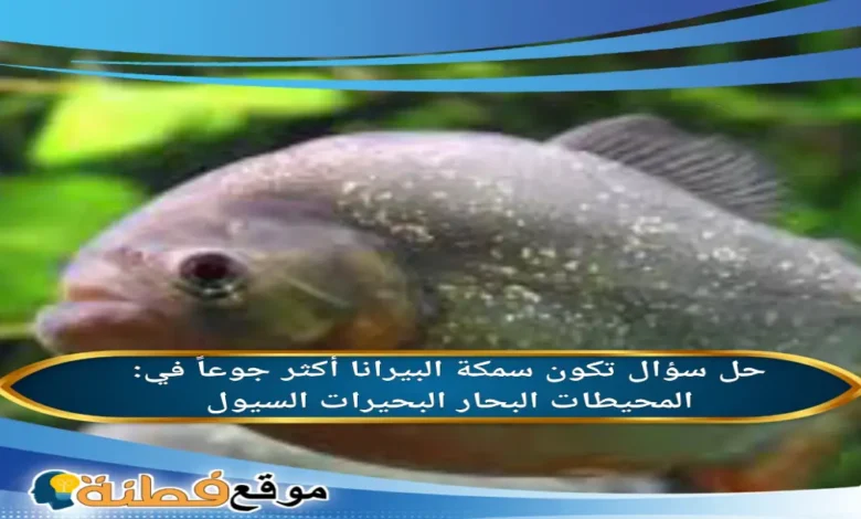 تكون سمكة البيرانا أكثر جوعاً في: المحيطات البحار البحيرات السيول