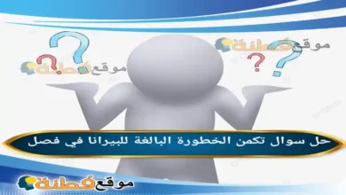 تكمن الخطورة البالغة للبيرانا في فصل