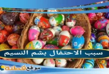 سبب الاحتفال بشم النسيم