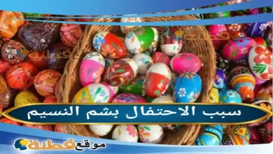 سبب الاحتفال بشم النسيم