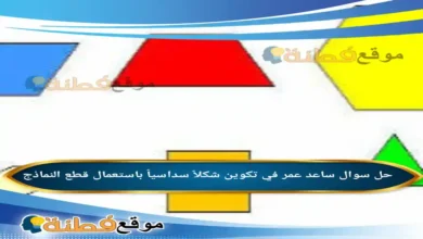 ساعد عمر في تكوين شكلاً سداسياً باستعمال قطع النماذج