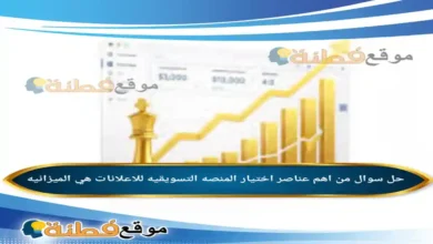 من اهم عناصر اختيار المنصه التسويقيه للاعلانات هي الميزانيه