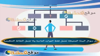 البيئة المحيطة تشمل فقط الموارد المادية ولا تشمل الثقافة التنظيمية