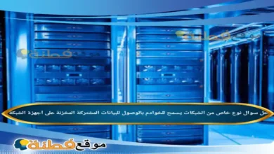 نوع خاص من الشبكات يسمح للخوادم بالوصول للبيانات المشتركة المخزنة على أجهزة الشبكة