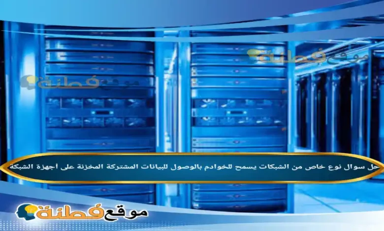 نوع خاص من الشبكات يسمح للخوادم بالوصول للبيانات المشتركة المخزنة على أجهزة الشبكة