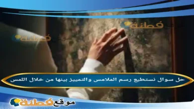 نستطيع رسم الملامس والتمييز بينها من خلال اللمس