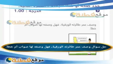 وصف عمر طائرته الورقية، فهل وصفه لها صواب أم خطأ.