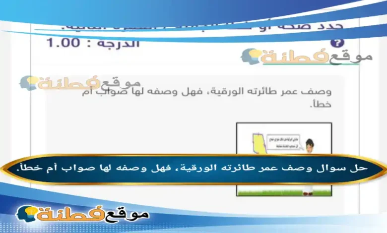 وصف عمر طائرته الورقية، فهل وصفه لها صواب أم خطأ.