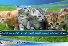 الجماعات الحيوية القليلة التنوع الوراثي أقل عرضة للأمراض.