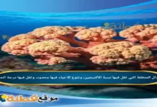 المنطقة التي تقل فيها نسبة الأكسجين، وتنوع الأحياء فيها محدود، وتقل فيها درجة الحرارة،