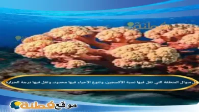 المنطقة التي تقل فيها نسبة الأكسجين، وتنوع الأحياء فيها محدود، وتقل فيها درجة الحرارة،