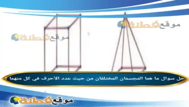 ما هما المجسمان المختلفان من حيث عدد الأحرف في كل منهما ؟