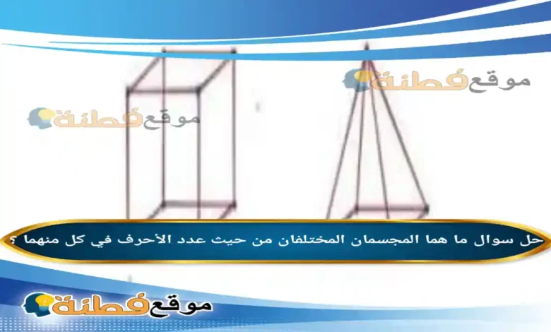 ما هما المجسمان المختلفان من حيث عدد الأحرف في كل منهما ؟