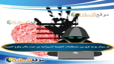 يوجد فرق بين مصطلحات الجريمة السيبرانية من حيث مكان وقوع الجريمة.