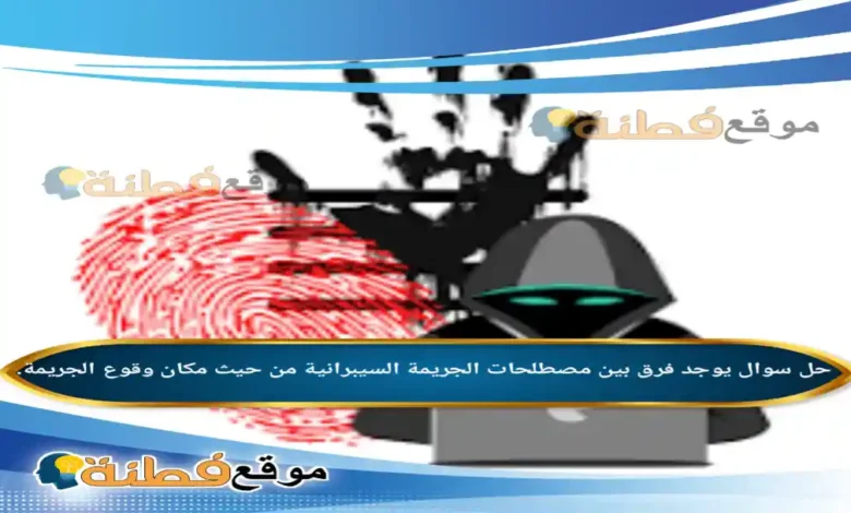 يوجد فرق بين مصطلحات الجريمة السيبرانية من حيث مكان وقوع الجريمة.