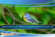 لا تستطيع الطيور أن تحافظ على درجةحرارتها.