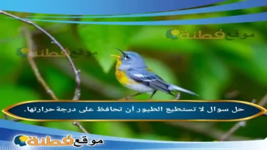 لا تستطيع الطيور أن تحافظ على درجةحرارتها.