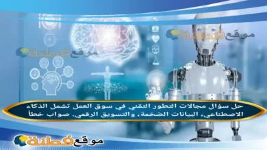 مجالات التطور التقني في سوق العمل تشمل الذكاء الاصطناعي، البيانات الضخمة، والتسويق الرقمي. صواب خطأ