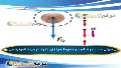 عند سقوط الجسم سقوطا حرا فإن القوة الوحيدة المؤثرة هي fg