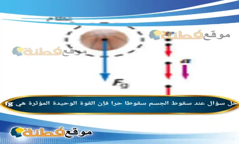 عند سقوط الجسم سقوطا حرا فإن القوة الوحيدة المؤثرة هي fg