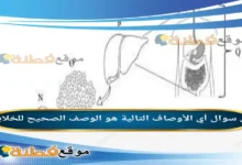 أي الأوصاف التالية هو الوصف الصحيح للخلايا