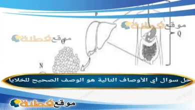 أي الأوصاف التالية هو الوصف الصحيح للخلايا