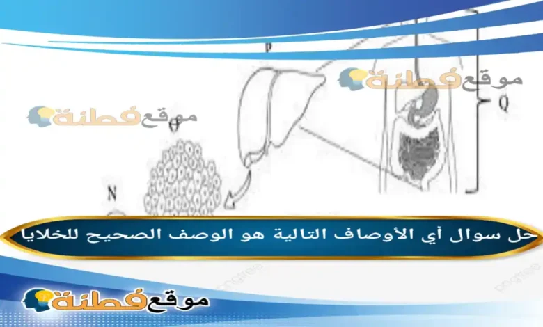 أي الأوصاف التالية هو الوصف الصحيح للخلايا