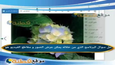 البرنامج الذي من خلاله يمكن عرض الصور و مقاطع الفيديو هو