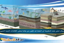 تنص هذه النظرية أن النفط قد تكون من بقايا بعض الكائنات الحية الحيوانية