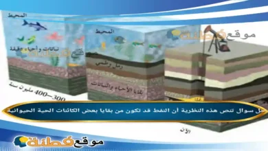 تنص هذه النظرية أن النفط قد تكون من بقايا بعض الكائنات الحية الحيوانية