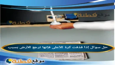 إذا قذفت كرة للأعلى فإنها ترجع للأرض بسبب
