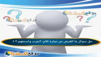 ما الغرض من عبارة الأم: "جرب واستفهم " ؟