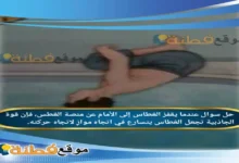 عندما يقفز الغطاس إلى الأمام عن منصة الغطس، فإن قوة الجاذبية تجعل الغطاس يتسارع في اتجاه موازٍ لاتجاه حركته.