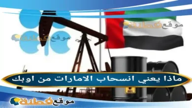 ماذا يعني خروج الامارات من اوبك