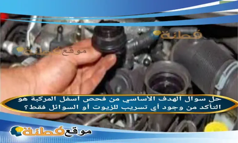 الهدف الأساسي من فحص أسفل المركبة هو التأكد من وجود أي تسريب للزيوت أو السوائل فقط؟