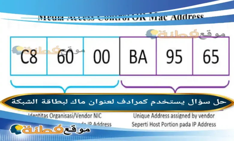 يستخدم كمرادف لعنوان ماك لبطاقة الشبكة