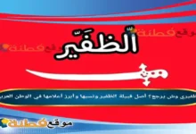 الظفيري وش يرجع؟ أصل قبيلة الظفير ونسبها وأبرز أعلامها في الوطن العربي