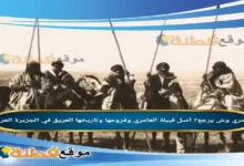 العامري وش يرجع؟ أصل قبيلة العامري وفروعها وتاريخها العريق في الجزيرة العربية
