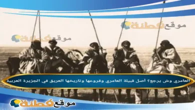 العامري وش يرجع؟ أصل قبيلة العامري وفروعها وتاريخها العريق في الجزيرة العربية