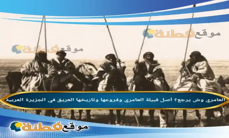 العامري وش يرجع؟ أصل قبيلة العامري وفروعها وتاريخها العريق في الجزيرة العربية
