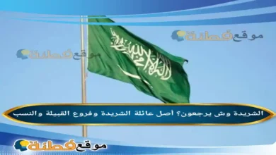 الشريدة وش يرجعون أصل عائلة الشريدة وفروع القبيلة والنسب