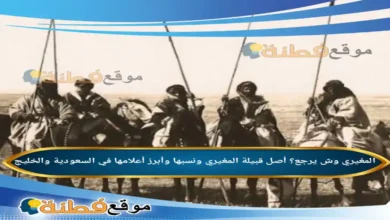 المغيري وش يرجع؟ أصل قبيلة المغيري ونسبها وأبرز أعلامها في السعودية والخليج