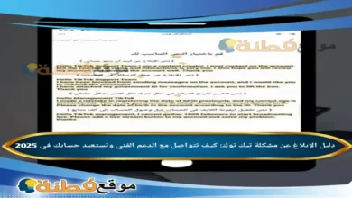 دليل الإبلاغ عن مشكلة تيك توك: كيف تتواصل مع الدعم الفني وتستعيد حسابك في 2025