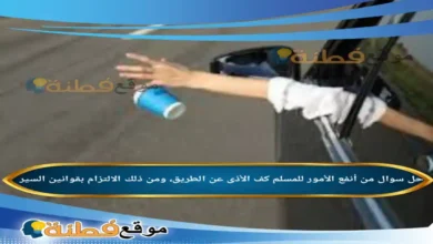 من أنفع الأمور للمسلم كف الأذى عن الطريق، ومن ذلك الالتزام بقوانين السير.